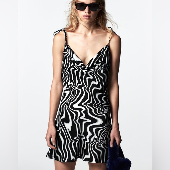 Mini Dress - Zebra Print - Picture 1 of 11